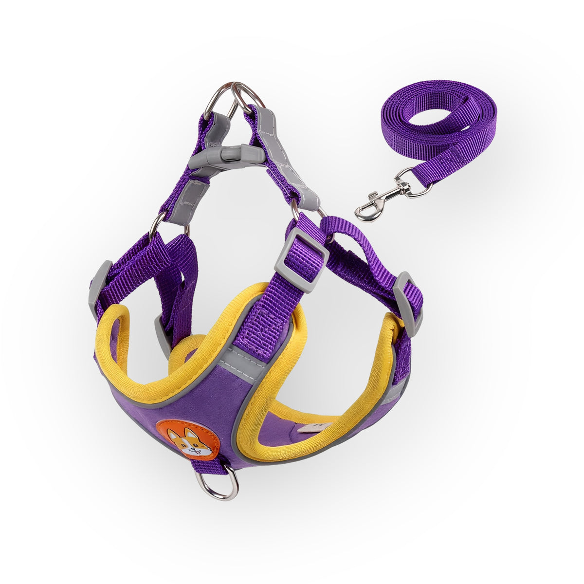 Durable Harness & Leash