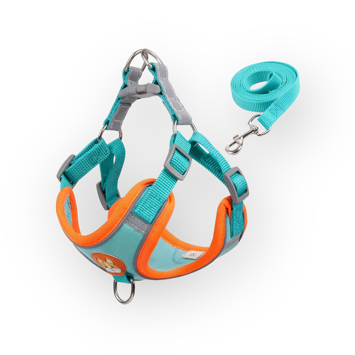 Durable Harness & Leash