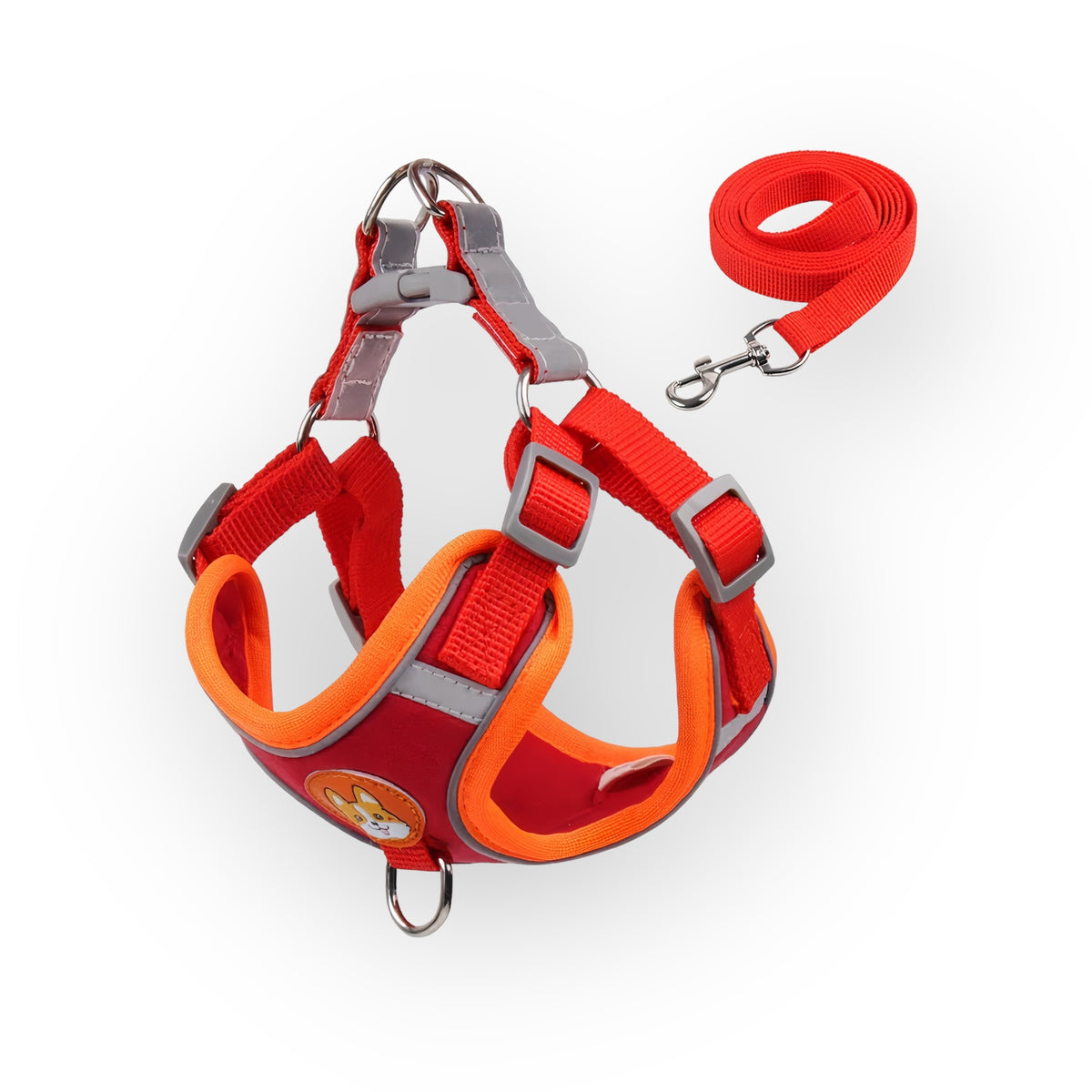 Durable Harness & Leash