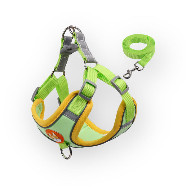 Durable Harness & Leash