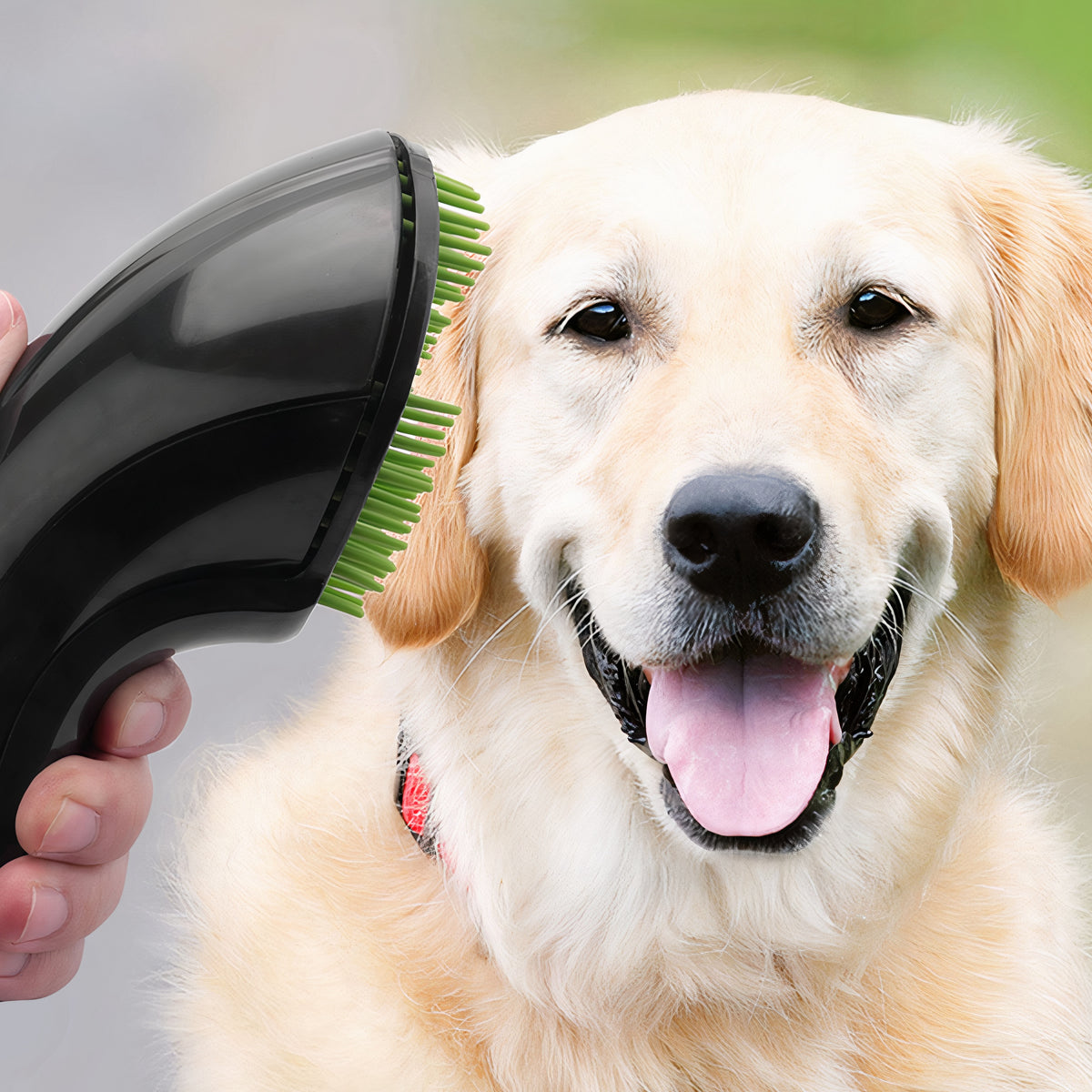 Pro Groom Brush