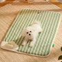 No-Slip Dog Mat