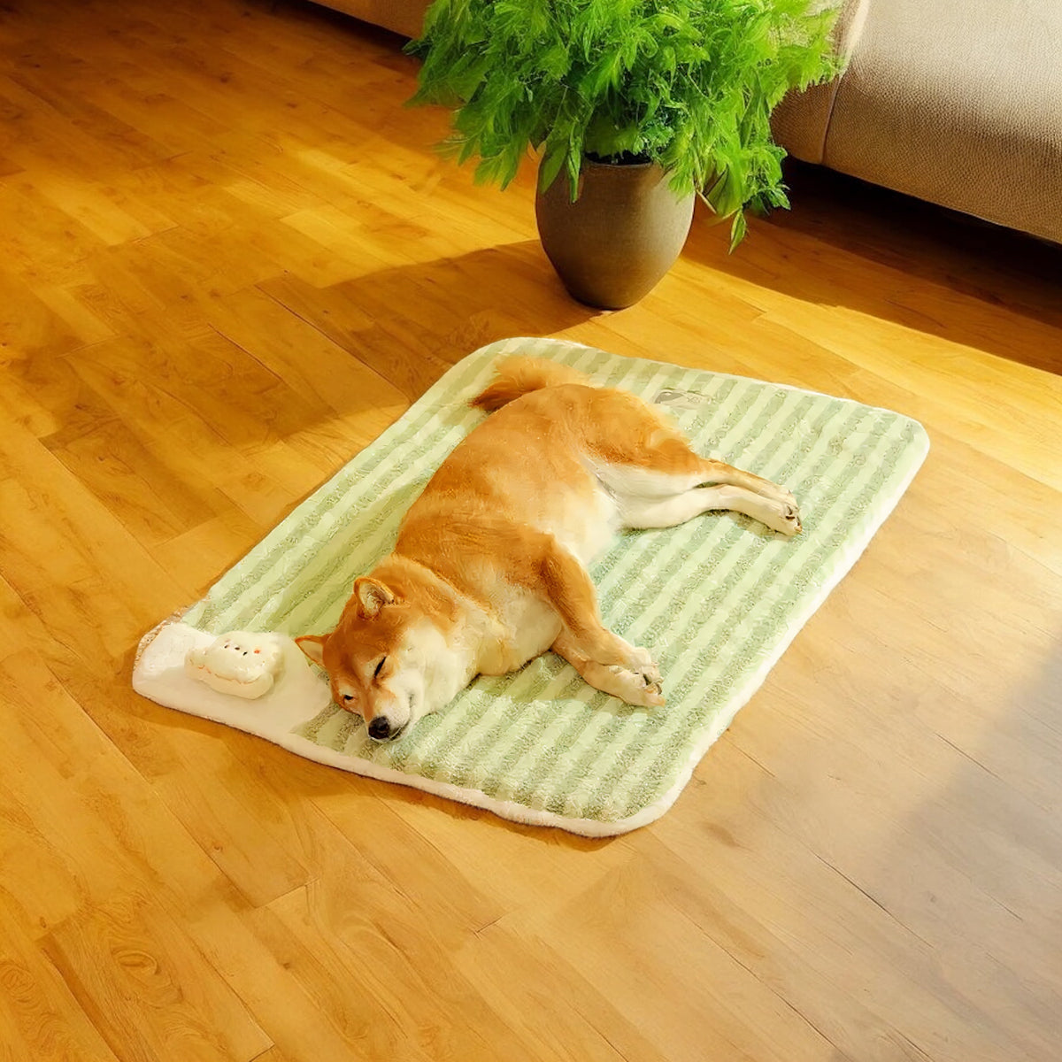 No-Slip Dog Mat
