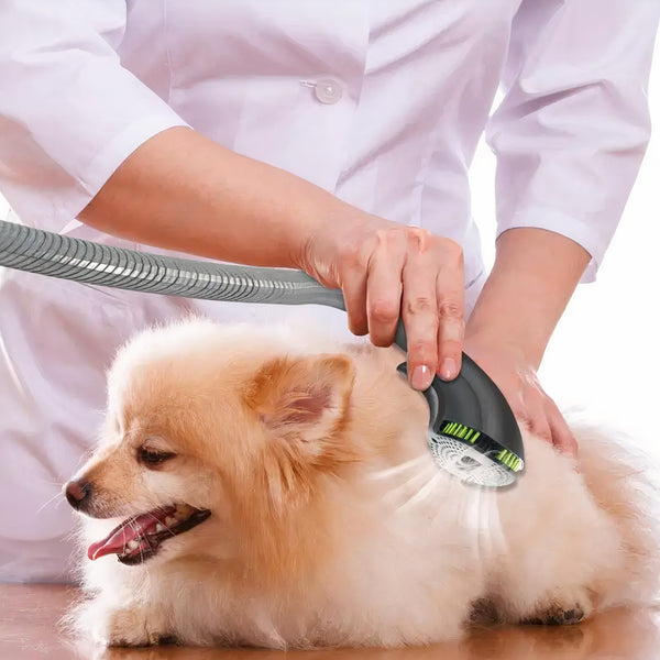 Pro Groom Brush