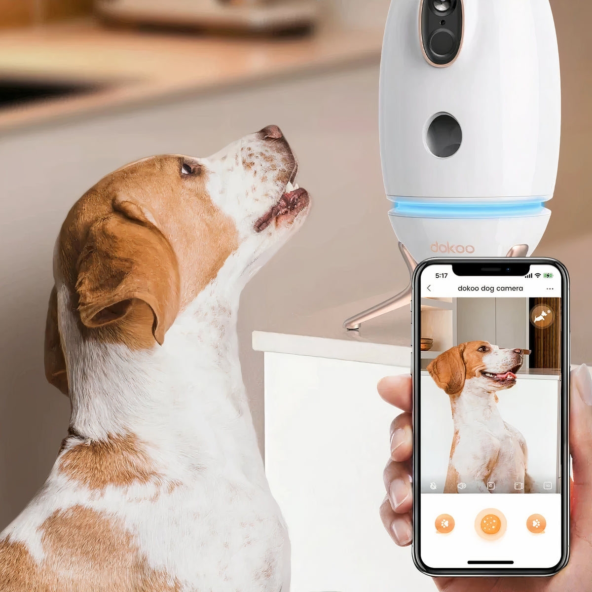 Smart Treat Dispenser