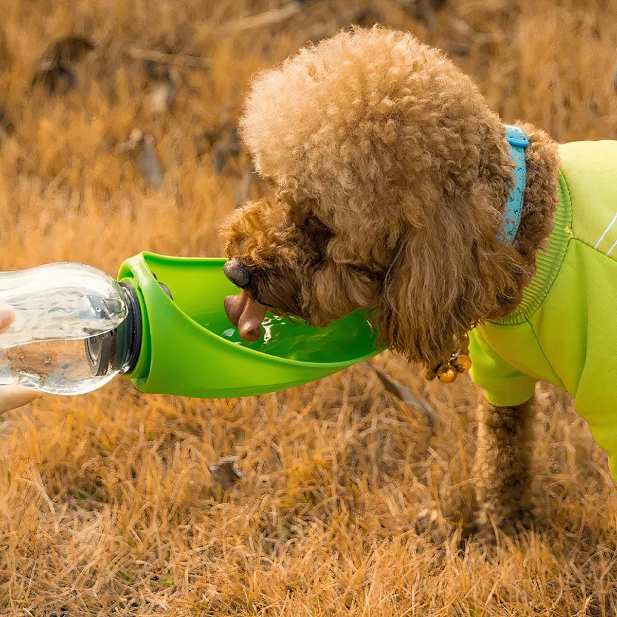 Doggie Juice Bottle